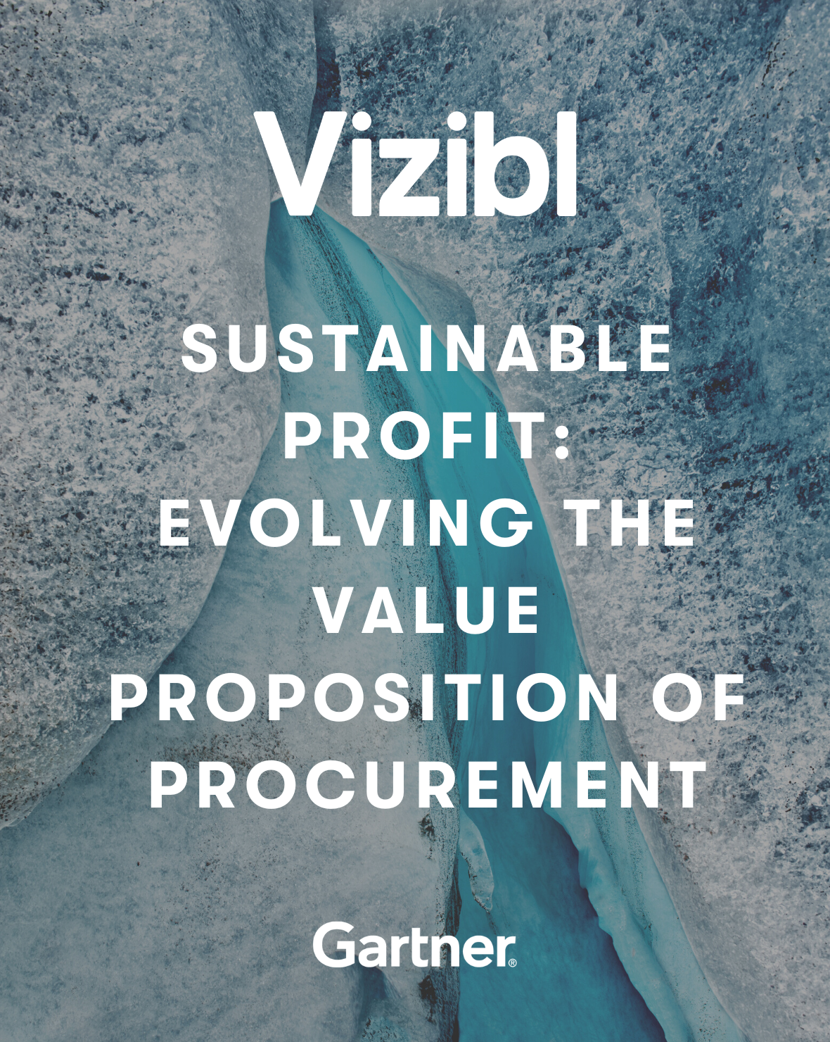 Sustainable Profit: Evolving the Value Proposition of Procurement