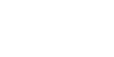 Vizibl_no_icon_light@3x-8