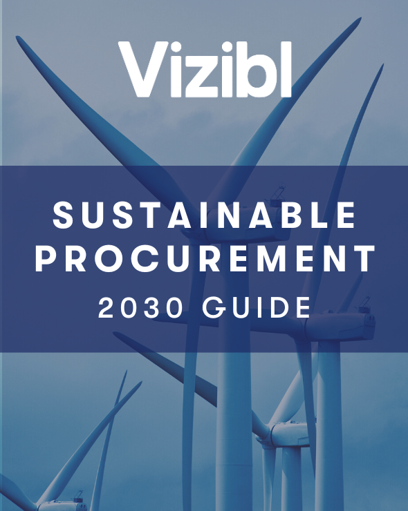 Download Vizibl's Sustainable Procurement 2030 Guide